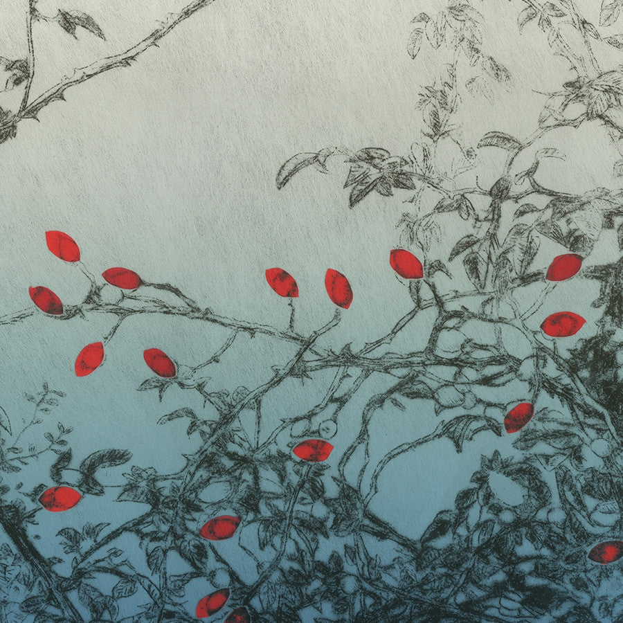 La Tarato Trellis Windflower Wallpaper | Phillipe Romano