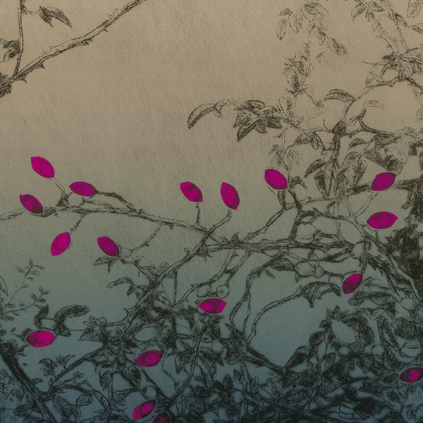 La Tarato Trellis Hyacinth Wallpaper | Phillipe Romano