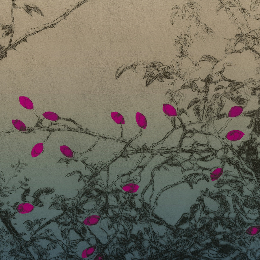 La Tarato Trellis Hyacinth Wallpaper | Phillipe Romano