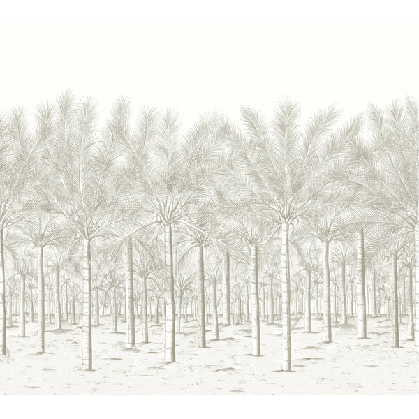 Palm Grove Mural, Beige Wallcoverings | Thibaut