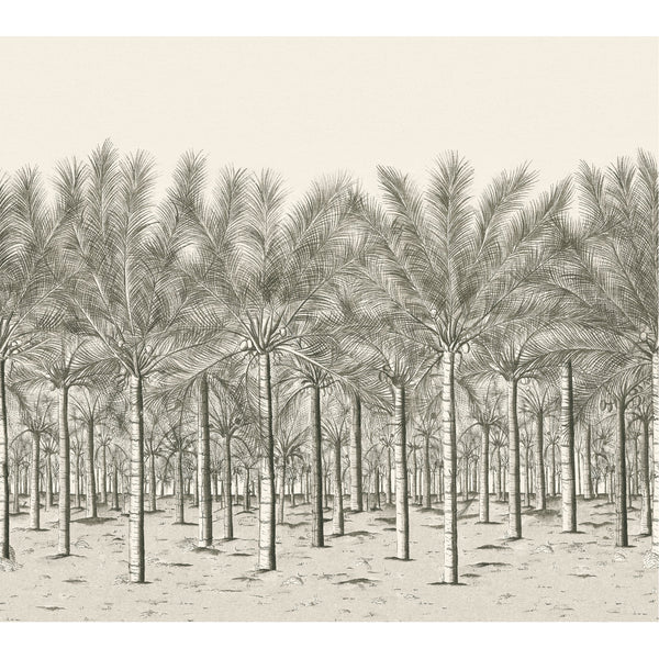 Palm Grove Mural, Black Tea Wallcoverings | Thibaut