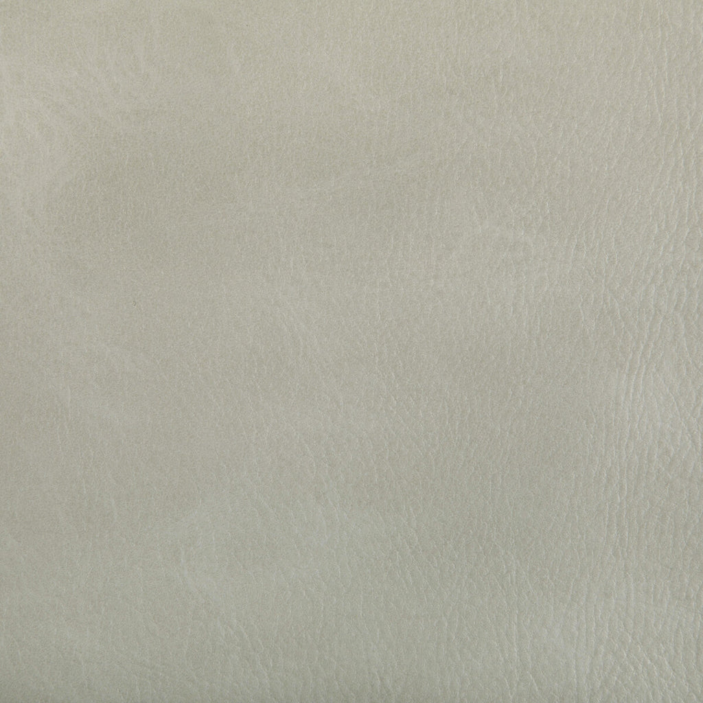 Samples and Purchasing available for Toni - Limestone White By Kravet Contract |  | Solid Upholstery Vinyl/Faux Leather at Designer Wallcoverings and Fabrics
