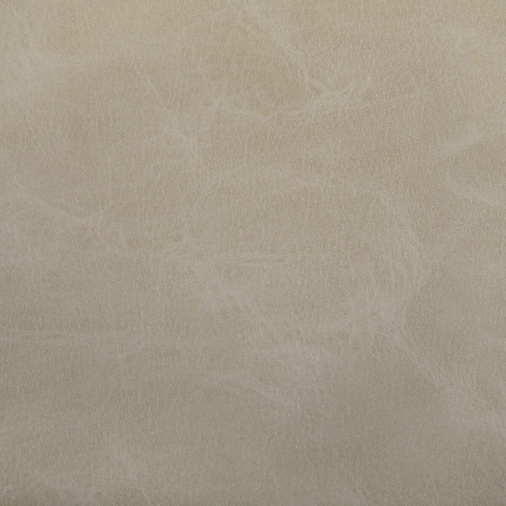 Samples and Purchasing available for Toni - Dune Taupe By Kravet Contract |  | Solid Upholstery Vinyl/Faux Leather at Designer Wallcoverings and Fabrics