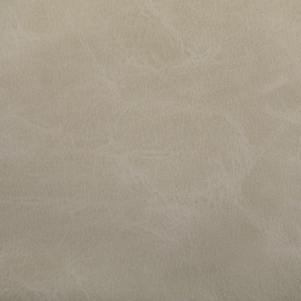 Samples and Purchasing available for Toni - Dune Taupe By Kravet Contract |  | Solid Upholstery Vinyl/Faux Leather at Designer Wallcoverings and Fabrics