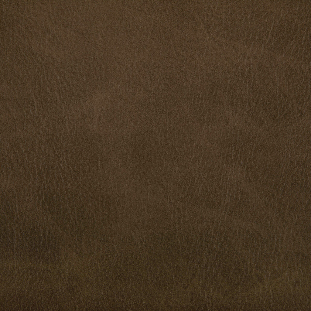 Samples and Purchasing available for Toni - Etruscan Brown By Kravet Contract |  | Solid Upholstery Vinyl/Faux Leather at Designer Wallcoverings and Fabrics