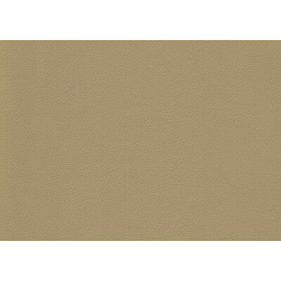 Samples and Purchasing available for Tp-146090 - 16 Beige By Kravet Contract | Sta-Kleen |Solid Texture Upholstery Vinyl/Faux Leather at Designer Wallcoverings and Fabrics