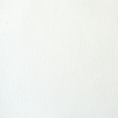 Samples and Purchasing available for Tp-146090 - 1 White By Kravet Contract | Sta-Kleen |Solid Texture Upholstery Vinyl/Faux Leather at Designer Wallcoverings and Fabrics