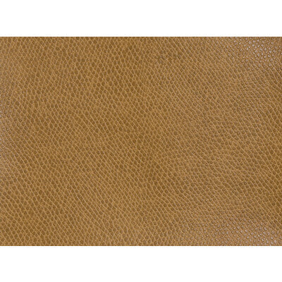 Samples and Purchasing available for Tp-146108 - 124 Orange By Kravet Contract | Sta-Kleen |Animal Skins  Upholstery Vinyl/Faux Leather at Designer Wallcoverings and Fabrics