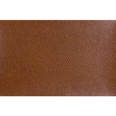 Samples and Purchasing available for Tp-146108 - 24 Orange By Kravet Contract | Sta-Kleen |Animal Skins  Upholstery Vinyl/Faux Leather at Designer Wallcoverings and Fabrics