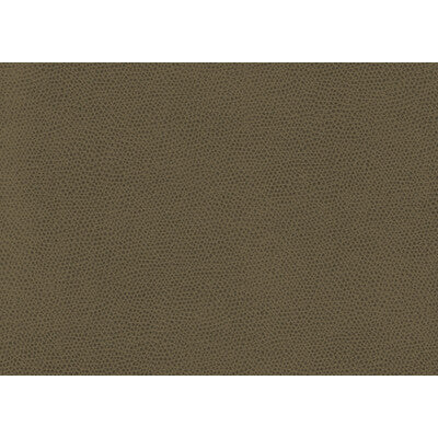 Samples and Purchasing available for Tp-146108 - 606 Brown By Kravet Contract | Contract Sta-Kleen |Animal Skins  Upholstery Vinyl/Faux Leather at Designer Wallcoverings and Fabrics