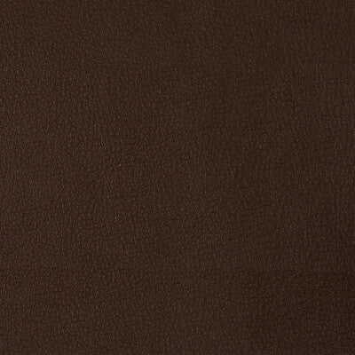 Samples and Purchasing available for Tp-18230 - 66 Brown By Kravet Smart |  |Solid Texture Upholstery Vinyl/Faux Leather at Designer Wallcoverings and Fabrics
