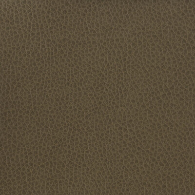 Samples and Purchasing available for Tp-220713 - 21 Charcoal By Kravet Basics |  |Solid Texture Upholstery Vinyl/Faux Leather at Designer Wallcoverings and Fabrics