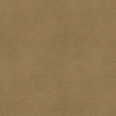 Samples and Purchasing available for Tp-235138 - 106 Taupe By Kravet Smart |  |Solid Texture Upholstery Vinyl/Faux Leather at Designer Wallcoverings and Fabrics