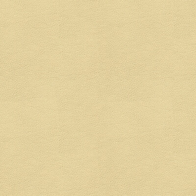 Samples and Purchasing available for Tp-235138 - 116 Beige By Kravet Smart |  |Solid Texture Upholstery Vinyl/Faux Leather at Designer Wallcoverings and Fabrics