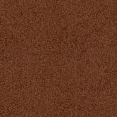 Samples and Purchasing available for Tp-235138 - 6 Brown By Kravet Smart |  |Solid Texture Upholstery Vinyl/Faux Leather at Designer Wallcoverings and Fabrics