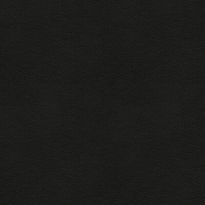 Samples and Purchasing available for Tp-235138 - 8 Black By Kravet Smart |  |Solid Texture Upholstery Vinyl/Faux Leather at Designer Wallcoverings and Fabrics