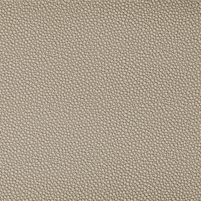 Samples and Purchasing available for Tp-319953 - 1616 Beige By Kravet Contract | Foundations / Value |Solid Animal Skins Upholstery Vinyl/Faux Leather at Designer Wallcoverings and Fabrics