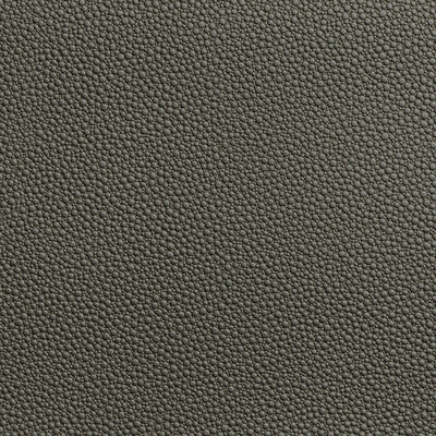 Samples and Purchasing available for Tp-319953 - 21 Taupe By Kravet Contract | Foundations / Value |Solid Animal Skins Upholstery Vinyl/Faux Leather at Designer Wallcoverings and Fabrics