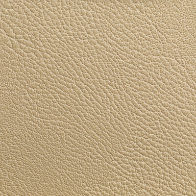 Samples and Purchasing available for Tp-319985 - 116 Beige By Kravet Contract | Foundations / Value |Solid Texture Upholstery Vinyl/Faux Leather at Designer Wallcoverings and Fabrics