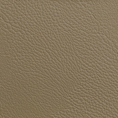 Samples and Purchasing available for Tp-319985 - 16 Beige By Kravet Contract | Foundations / Value |Solid Texture Upholstery Vinyl/Faux Leather at Designer Wallcoverings and Fabrics