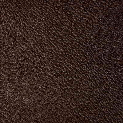 Samples and Purchasing available for Tp-319985 - 6 Brown By Kravet Contract | Foundations / Value |Solid Texture Upholstery Vinyl/Faux Leather at Designer Wallcoverings and Fabrics