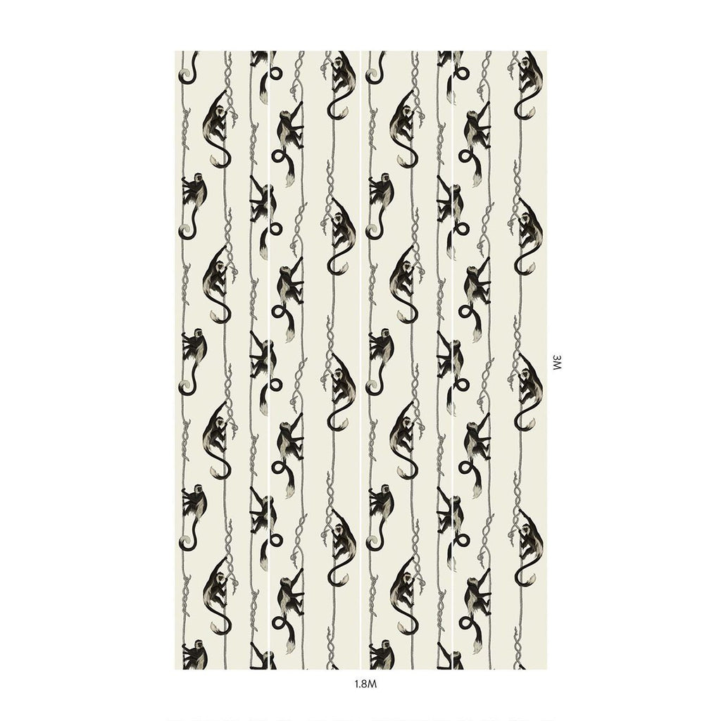 Troop Birch, Sample
