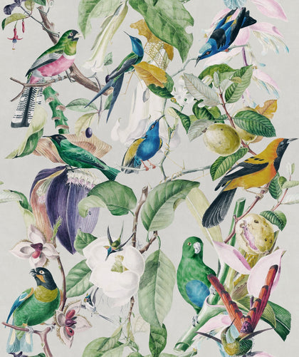 Tropical Birds - Taupe, Blue, White, Green Wallcovering | Mind the Gap