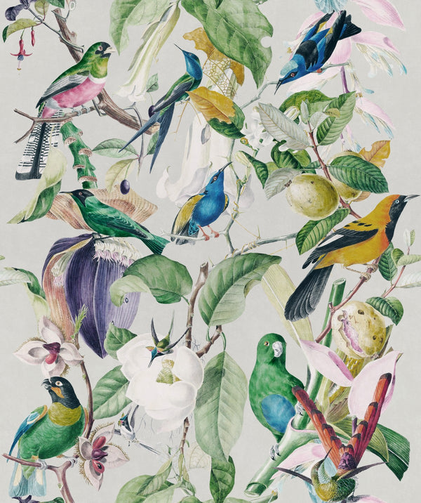 Tropical Birds - Taupe, Blue, White, Green Wallcovering | Mind the Gap