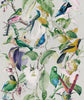 Tropical Birds Wallpaper | Mind The Gap