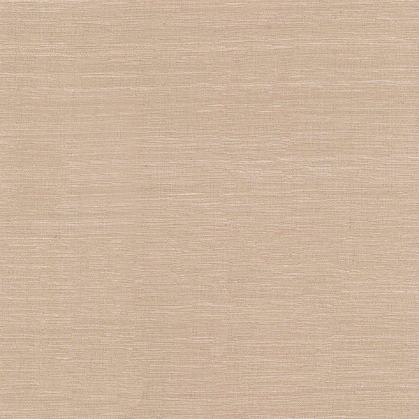 La Calabria Fawn Wallpaper | Phillipe Romano