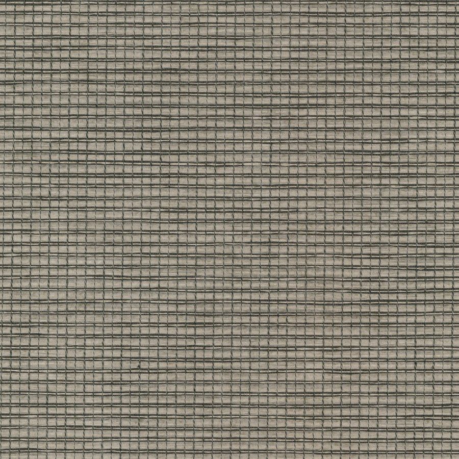 La Udino Daria Wallpaper | Phillipe Romano