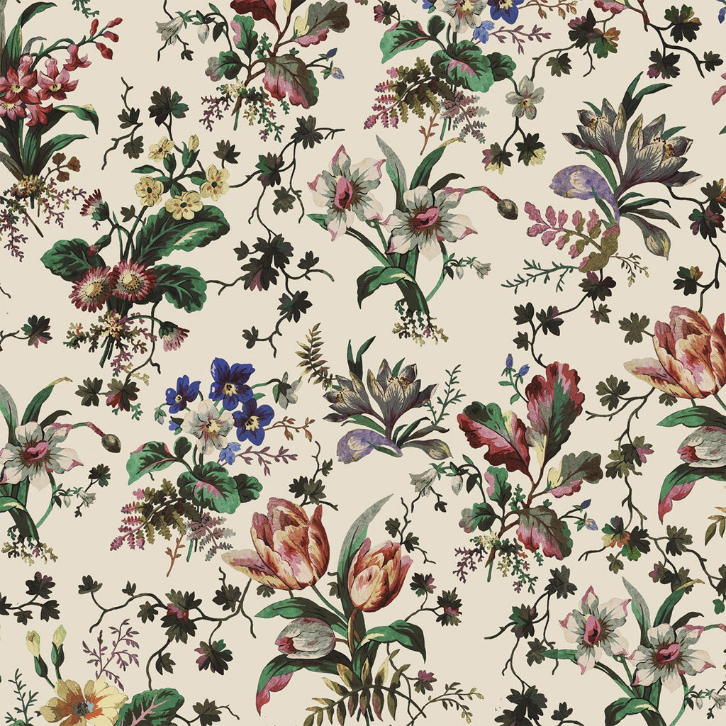 Tulipa Ecru, Sample