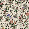 Tulipa Ecru, Sample