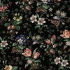 Tulipa Onyx, Sample