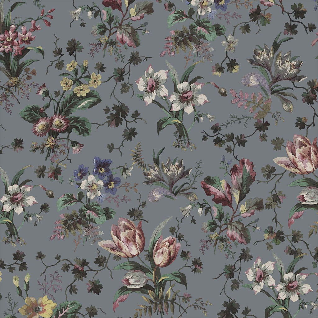 Tulipa Pewter, Sample