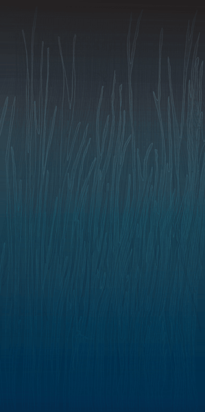 Twiggy Blue  Wallpaper (Srd-Twg-01) | Sarah Rowland | Koroseal