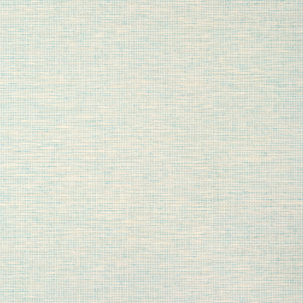 Spiro Wide Width, Robin's Egg Wallcoverings | Thibaut