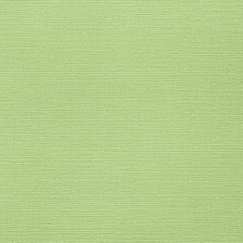 Taluk Sisal Wide Width, Sage