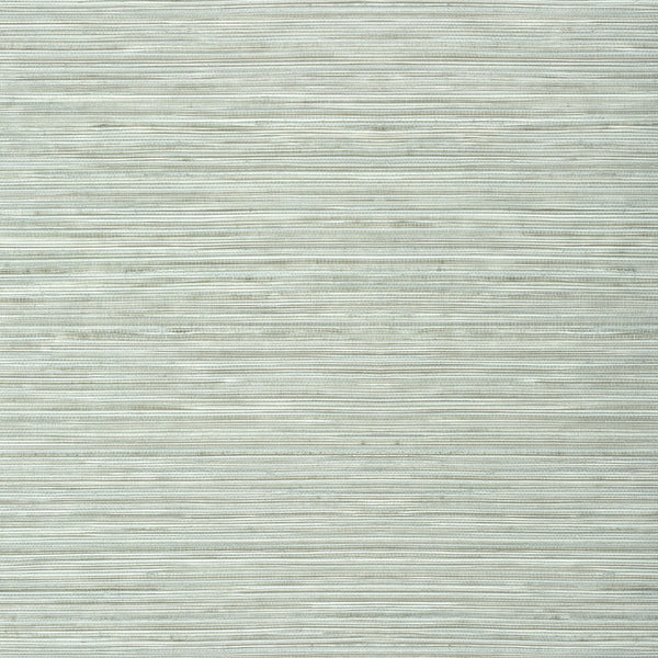 Kendari Grass Wide Width, Robin's Egg Wallcoverings | Thibaut