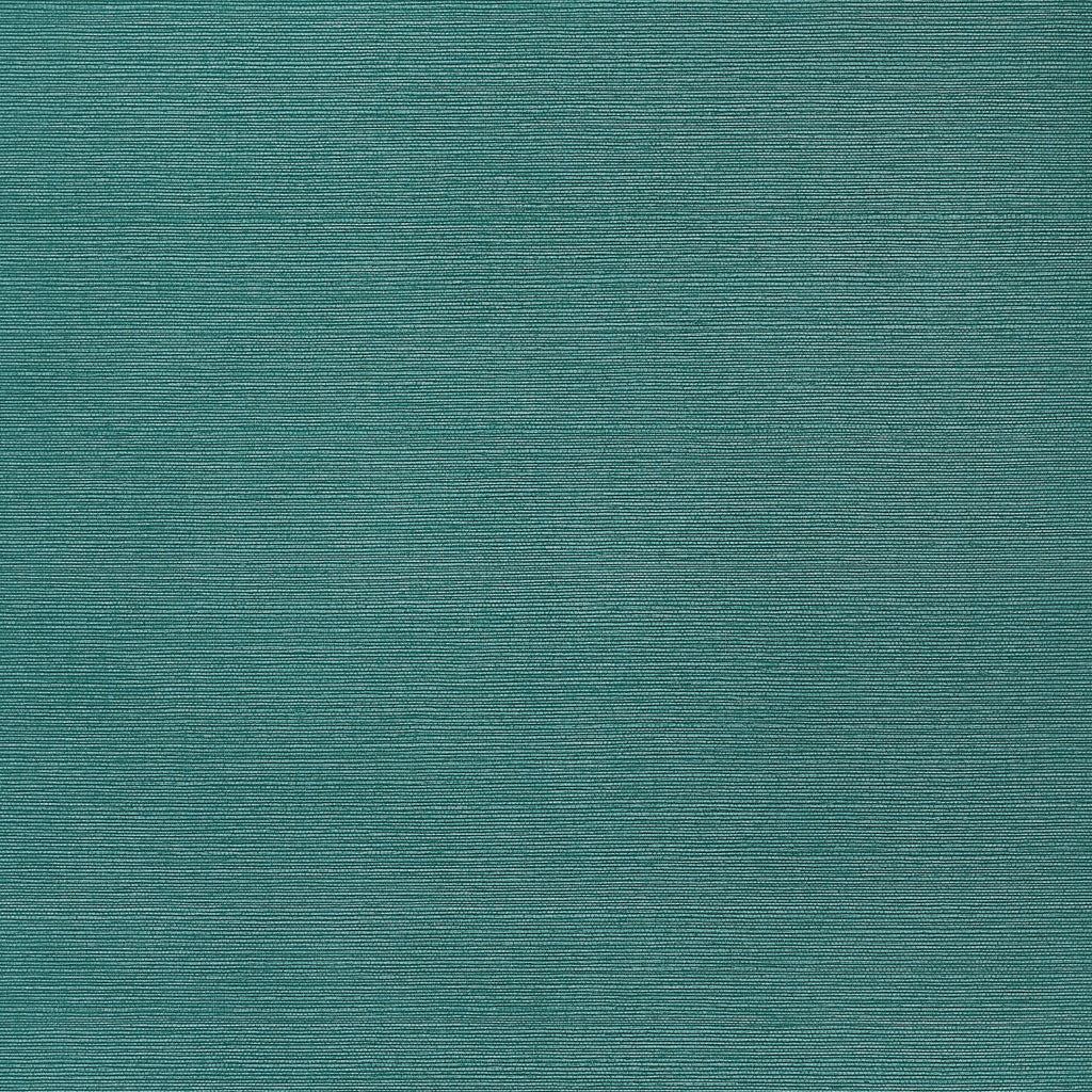 Taluk Sisal Wide Width, Palmetto