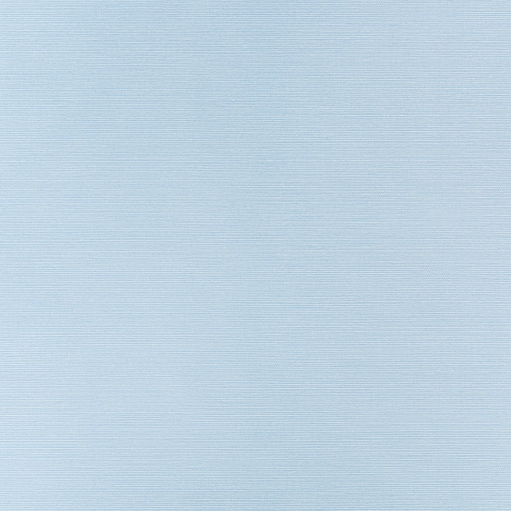 Taluk Sisal Wide Width, Sky Blue