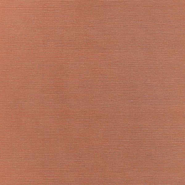 Taluk Sisal Wide Width, Terracotta Wallcoverings | Thibaut