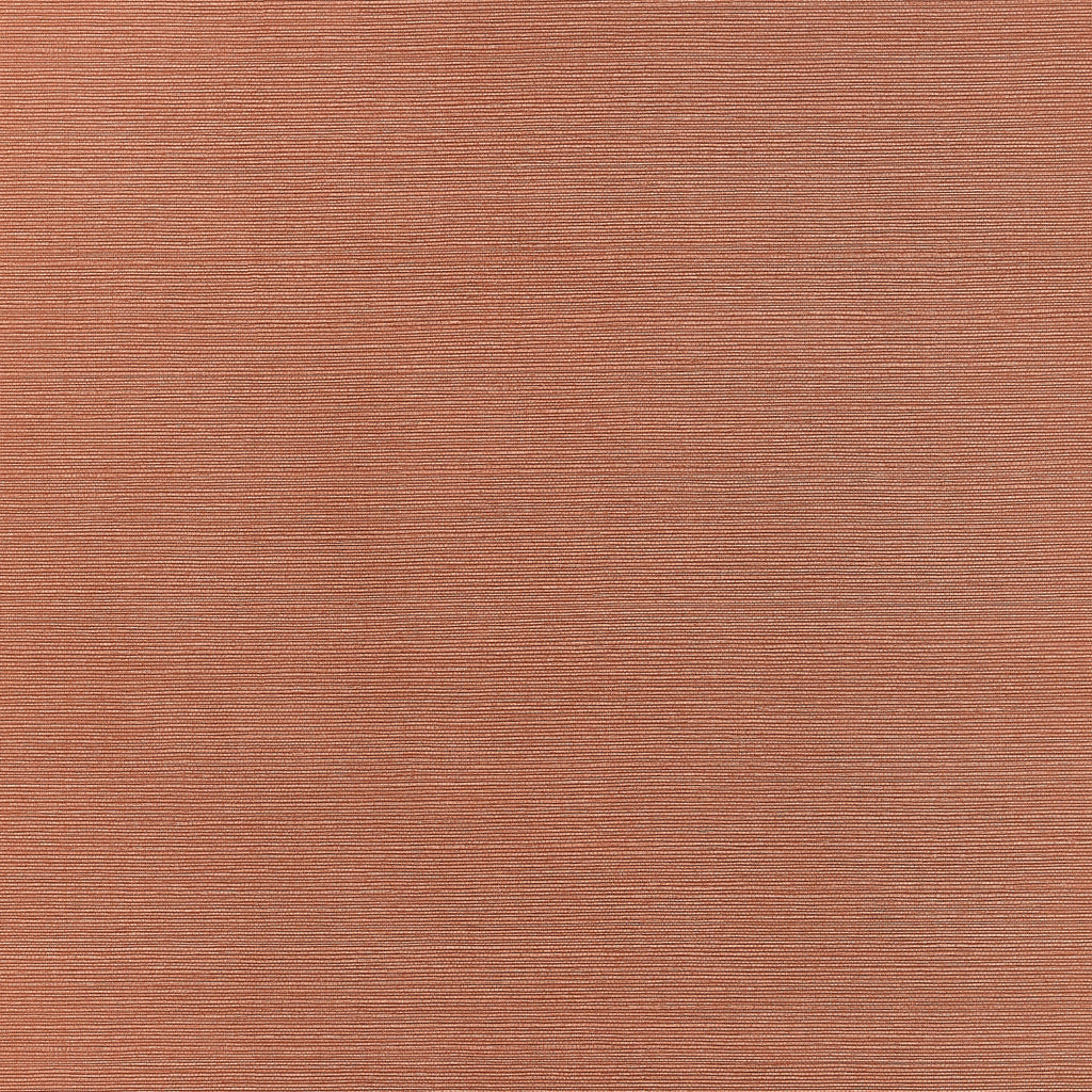 Taluk Sisal Wide Width, Terracotta