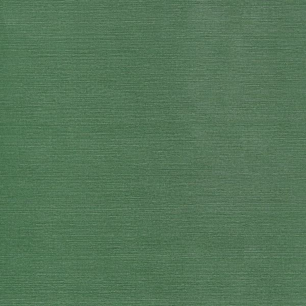 Taluk Sisal Wide Width, Forest Green Wallcoverings | Thibaut