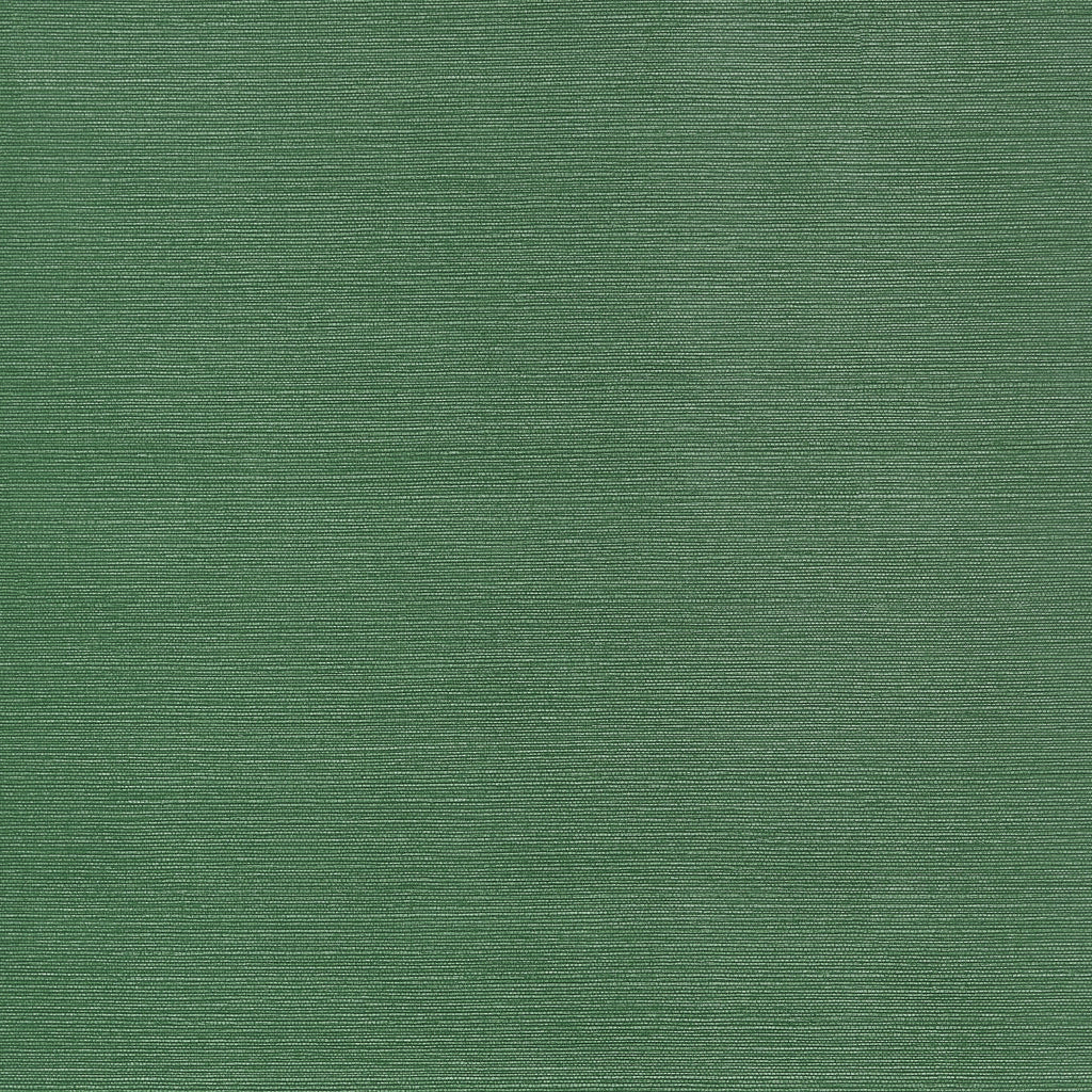 Taluk Sisal Wide Width, Forest Green