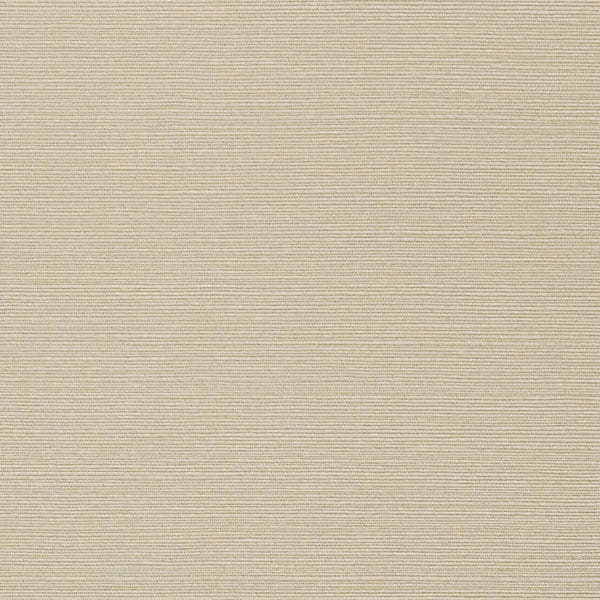 Taluk Sisal Wide Width, Light Taupe Wallcoverings | Thibaut