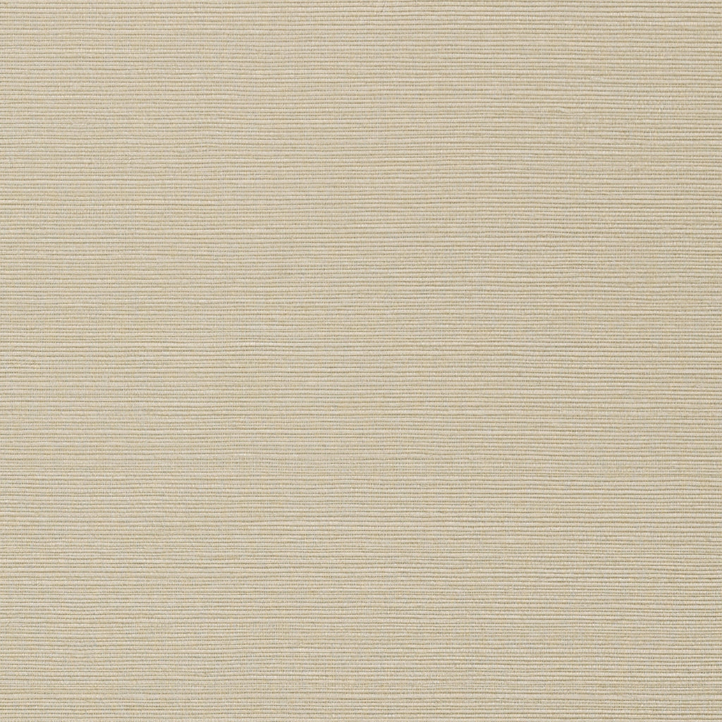 Taluk Sisal Wide Width, Light Taupe