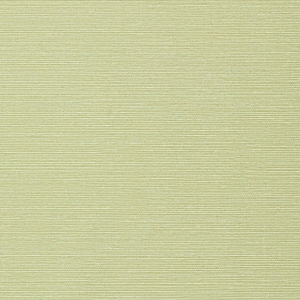 Taluk Sisal Wide Width, Willow Wallcoverings | Thibaut