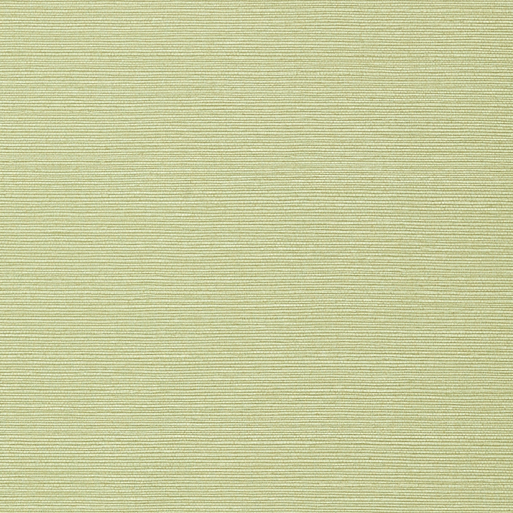 Taluk Sisal Wide Width, Willow