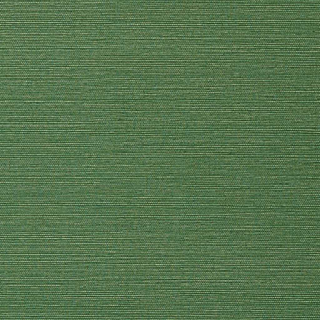 Taluk Sisal Wide Width, Green